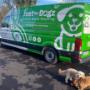 Dog bathing and blow dry, Dog ear cleaning, Dog full service grooming, Dog grooming and styling, Dog nail trimming, Dog grooming, Dog spa