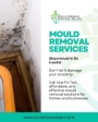 Mould removal advert 1