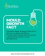 Mould removal advert 5