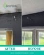 Mould removal advert 2