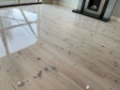 Wood Floor Cleaning