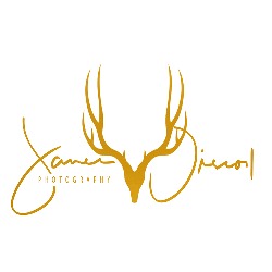 JOD' Photography – Capturing Love, Laughter & Every Dodgy Dance Move!