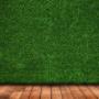 Artificial Grass