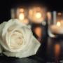 Burials, Cremations, Resomations