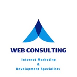 Web Consulting Agency
