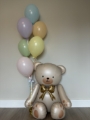 The sweetest teddy