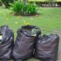 Garden Tidy-ups
