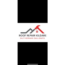Roof Repair Kildare