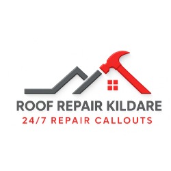 Roof Repair Kildare