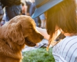 Woman and Golden Retiver