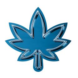 MaryJaneDays Limited