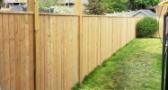 Garden Fence