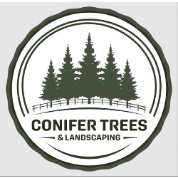 Conifer Trees & Landscaping