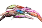 Pan Lures