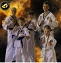 Mango Martial Arts