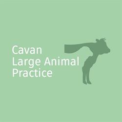 Cavan Vet Group - Finbarr Kiernan Farm Vets
