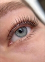 BROWS BY LD BEAUTY
