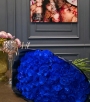 Everblume Flowers