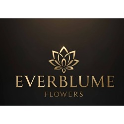 Everblume Flowers