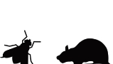 pest control