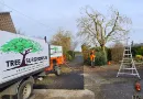 Tree Removal near power lines