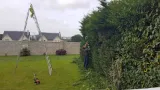 Hedge Cutting