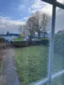 Tree Removal near power lines