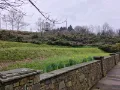 Strom Tree Removal