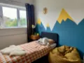 Contemporary kids bedroom