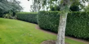 Gardening Services Dublin 18
