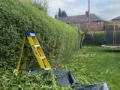 Garden Maintenance in Dublin