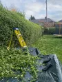 Hedge Trimming Garden Services in Dublin