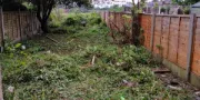 Overgrown Garden Clearance in South Dublin