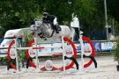 jedhorses horses image