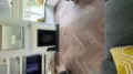 Parquet Flooring