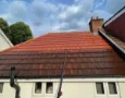 roof-cleaning