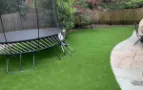 artificial-grass