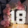 Led numbers with balloon arch