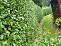 Garden Landscaping Services Kilkenny