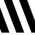 Terry Quinlan