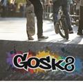 GoSk8